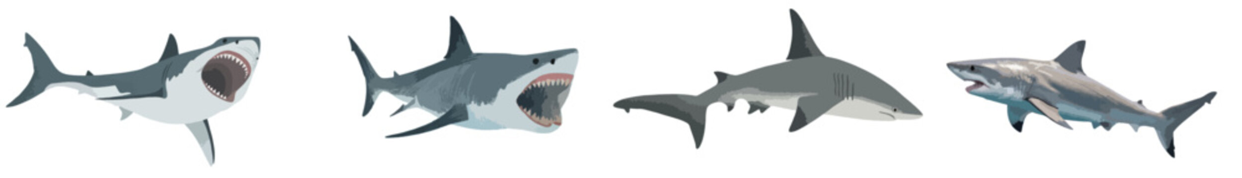 Great White Shark Vector Illustration Set, Marine Predator Ocean Fish Collection Isolated on White Background
