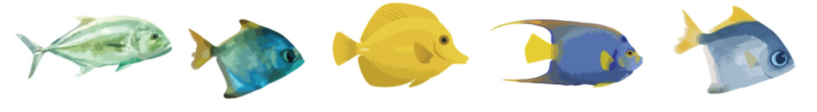 Colorful Tropical Coral Reef Fish Vector Set, Ocean Marine Life Clipart Isolated on White Background
