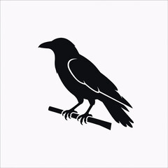 Fototapeta premium Black crow perched on branch in silhouette. Dark bird isolated on bright white background for graphic design.