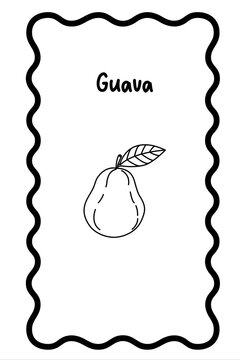 Coloring Fruit Flashcards  - guava (2)