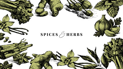 Fototapeta premium Sketch kitchen herbs and spices banner. Sticker collage poster. Cookbook cover. Menu design. Hand drawn vintage isolated vector illustrations.