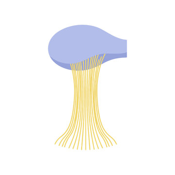 Vector illustration of molten cheese pulling and stretching away from a pizza slice