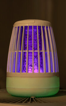 Electronic Bug Zapper with UV Light and Captured Mosquitoes for Pest Control