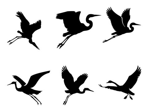 Heron and Egret Flying Silhouette Vector Set Isolated on White Background