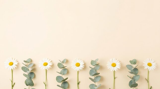 Row of daisies and eucalyptus leaves arranged along the bottom edge of a beige background with copy space, illustrating a minimal spring botanical flat lay.