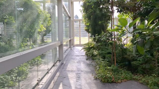 Taking a walk in the university botanical garden ("Orto Botanico") in Padua, Veneto, Italy
