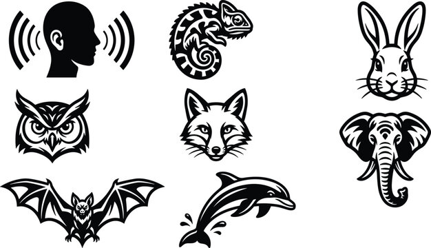 Animal Echolocation and Hearing Icon Set with Human Silhouette Bat Dolphin Elephant Owl Fox Chameleon and Rabbit for Scientific Graphic Designs