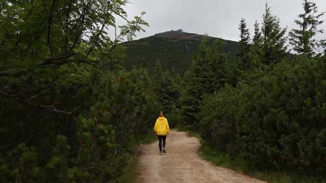 Back view of a woman in a yellow jacket hiking from Ruzohorky towards Snezka mountain peak in Krkonose, Czech Republic