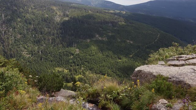 High angle view of the deep forested Elbe Valley with alpine meadows and rocky cliffs in Krkonose National Park