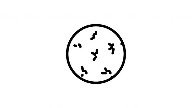 radar chart animated icon
