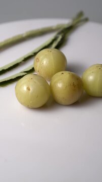 Fresh Indian Amla (Indian Gooseberry) Rich in Vitamin C, Ayurvedic Superfruit, Organic Herbal Ingredient, Natural Antioxidant, Healthy Nutrition, and Wellness