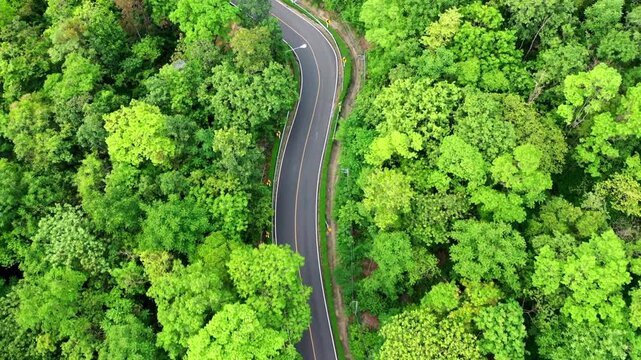 Aerial view of winding asphalt road through lush green forest canopy during summer cinematic footage.