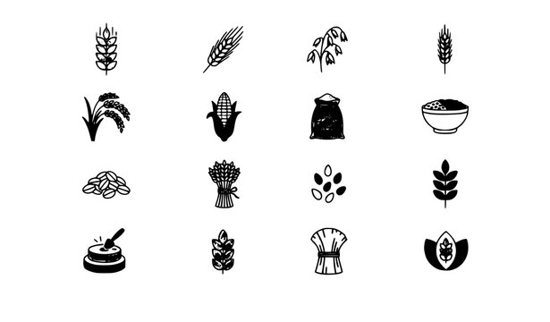 Modern cereal and grain icon vector set with wheat barley oats rye flour rice corn and agricultural food symbols isolated on white background