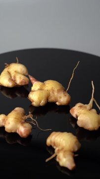 Fresh Ginger Root (Zingiber officinale) Organic Herbal Spice, Ayurvedic Medicinal Ingredient, Natural Antioxidant, Healthy Cooking, and Wellness