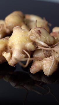 Fresh Ginger Root (Zingiber officinale) Organic Herbal Spice, Ayurvedic Medicinal Ingredient, Natural Antioxidant, Healthy Cooking, and Wellness