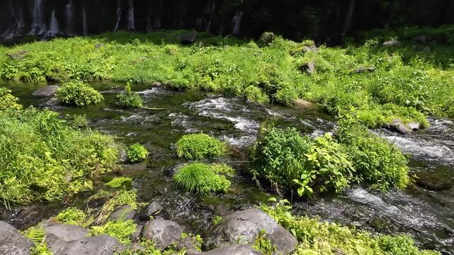 白糸の滝から流れる川