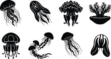 Set of diverse jellyfish silhouettes and aquatic sea creatures for marine life and ocean design projects © MdRuhul