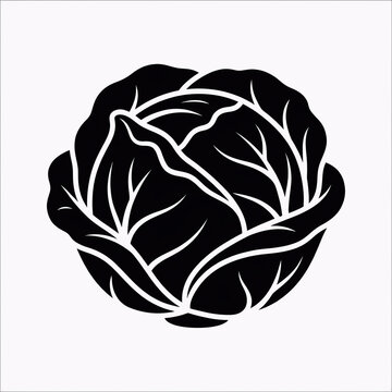 Minimalist cabbage line art illustration. Monochrome vegetable vector drawing for clean design projects.