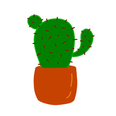 green cactus in a pot © Alfi 