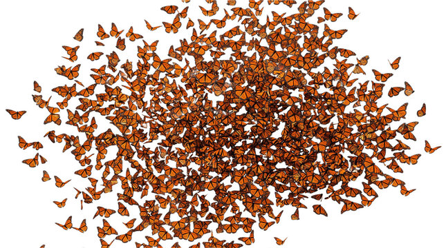 Butterflies Migration monarch butterfly migration a cloud of butterflies abstract shape isolated on a transparent background generative ai Set against a pure solid white background RGB 255 to