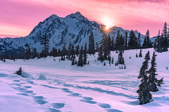 Golden winter sunset glows behind a snow covered mountain as sunlight breaks over an alpine meadow with footprints in fresh snow and frosted evergreens