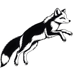Obraz premium wolf vector illustration