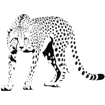 leopard vector silhouette