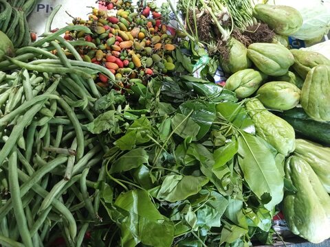 fresh vegetables in the market
