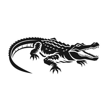 vector illustration of a crocodile