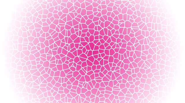 Illustrazione animata di sfondo a struttura reticolare in toni di rosa diffuso