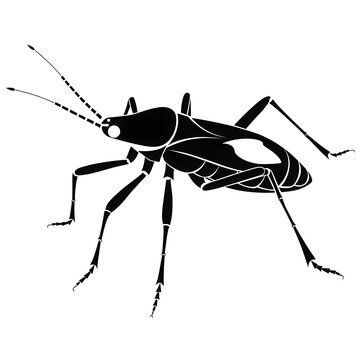 silhouette of a bug