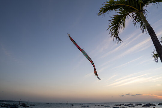A traditional Balinese long-tail kite flying high in the evening sky near the beach, framed by a palm tree during a soft sunset.