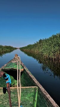 Traditional wooden boat navigating peaceful Danube Delta canal beneath clear blue summer sky