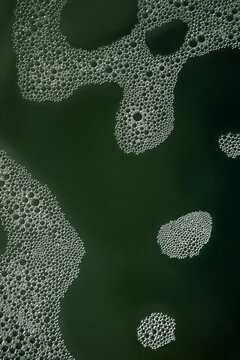 water drops on green leaf