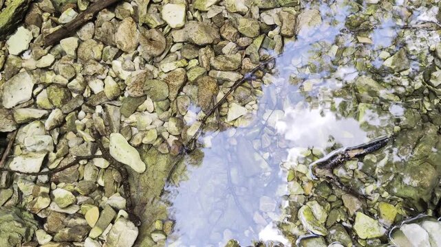 Pozzanghera poco profonda circondata da pietre irregolari, con riflesso del cielo e delle nuvole sulla superficie dell&rsquo;acqua