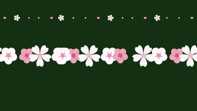 Sakura cherry blossom flowers border animation dark background a graceful of pink and white drifting across a background, suitable for seasonal projects