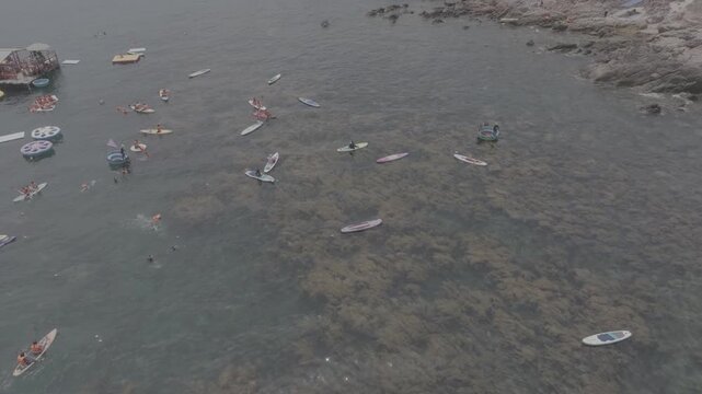 Aerial drone footage of kayaking over seaweed beds at Hon Kho, Gia Lai, Vietnam, featuring crystal-clear water, tropical coastline and an active outdoor adventure near Quy Nhon.