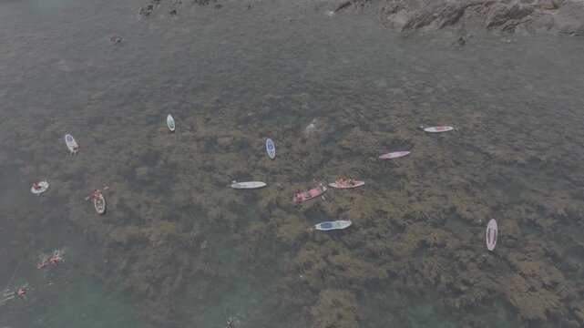 Aerial drone footage of kayaking over seaweed beds at Hon Kho, Gia Lai, Vietnam, featuring crystal-clear water, tropical coastline and an active outdoor adventure near Quy Nhon.