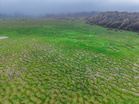 Karag&ouml;l Plateau in Taraklı, Sakarya &ndash; A Natural Painting of Springs, Forests and Mountains