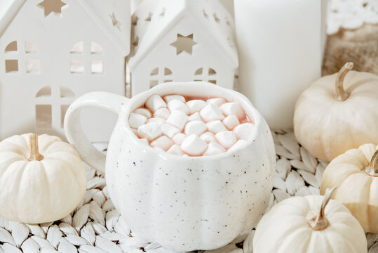 Cozy Autumn Hot Chocolate with Mini Pumpkins and Fall Decor Warm mug of hot chocolate with mini marshmallows, white pumpkins and home decor. Inviting autumn scene
