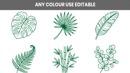 Set of tropical and exotic leaf line art icons with tropical botanical eucalyptus collection illustration © MDIMRAN