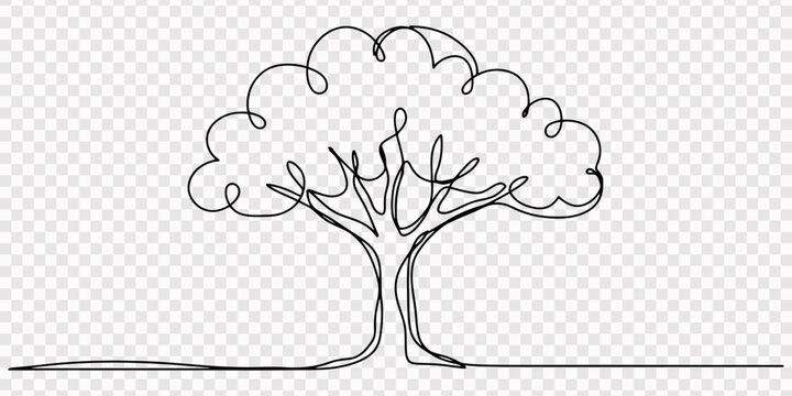 one continuous line drawing of a minimalist tree modern botanical illustration, Continuous one line drawing green tree fertile on white background, trees for decorating gardens, park, forest.