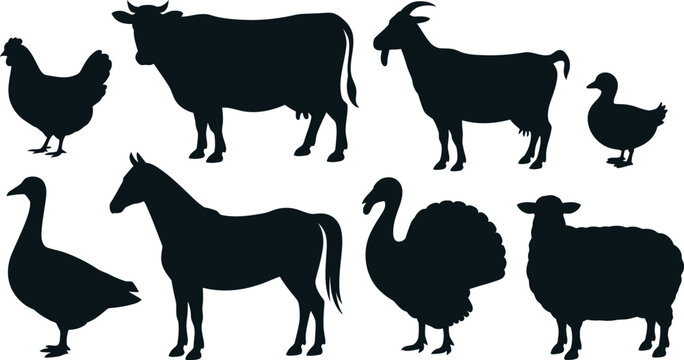 Set of black silhouettes of various farm animals including cow horse goat sheep chicken duck and turkey