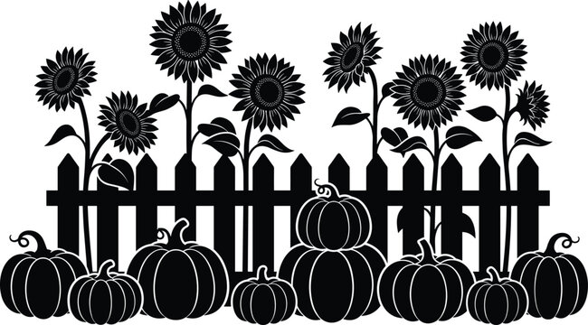 Autumn garden scene with sunflowers and pumpkins behind a wooden fence silhouette