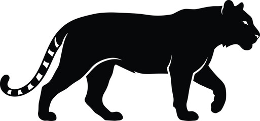 Fototapeta premium Black silhouette of a tiger walking in profile view on a plain white background animal