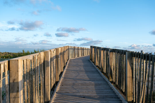 Scenic wooden boardwalk path leading through coastal dunes toward Labenne-Oc&eacute;an beach in the Landes, France. Sunset lighting, natural landscape nature photography.