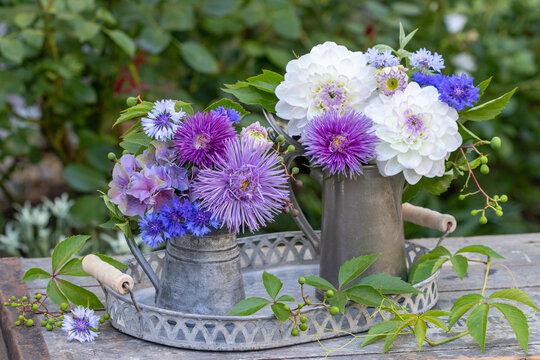 Blumenstr&auml;u&szlig;e mit lila Sommerastern, wei&szlig;en Dahlien, Hortensienbl&uuml;ten und Federnelken in vintage Kr&uuml;gen im Sommergarten