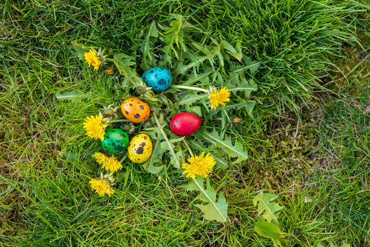 Hidden Colorful Quail Easter Eggs in Spring Garden with Copy Space