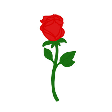Simple rose illustration