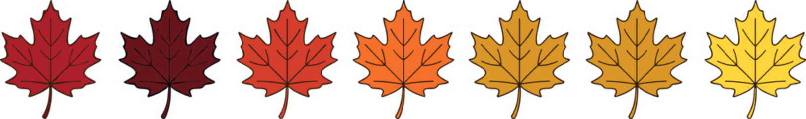 Fototapeta premium Autumn Maple Leaves Gradient Color Change Vector Illustration